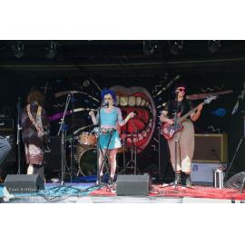 Waitati Music Festival by Paul S Allen: Human Susan