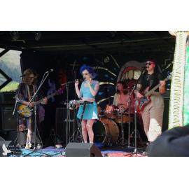 Waitati Music Festival by Paul S Allen: Human Susan