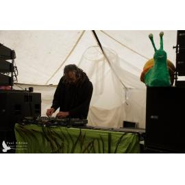 Waitati Music Festival by Paul S Allen: Dante