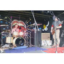 Waitati Music Festival by Paul S Allen: King Toad