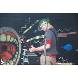 Waitati Music Festival by Paul S Allen: King Toad