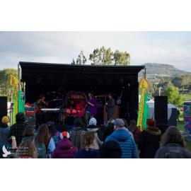 Waitati Music Festival by Paul S Allen: Koizilla