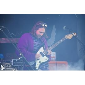 Waitati Music Festival by Paul S Allen: Koizilla