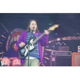 Waitati Music Festival by Paul S Allen: Koizilla