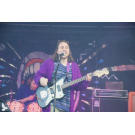 Waitati Music Festival by Paul S Allen: Koizilla