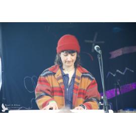 Waitati Music Festival by Paul S Allen: Koizilla