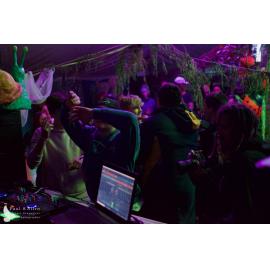 Waitati Music Festival by Paul S Allen: Mini Rave
