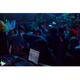 Waitati Music Festival by Paul S Allen: Mini Rave