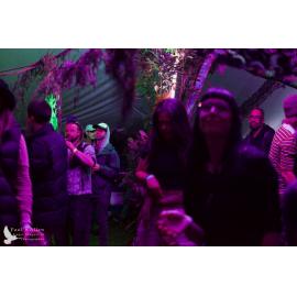 Waitati Music Festival by Paul S Allen: Mini Rave