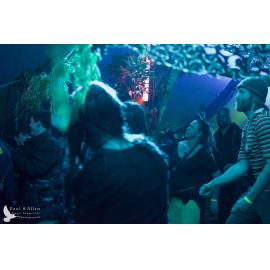 Waitati Music Festival by Paul S Allen: Mini Rave