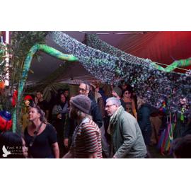 Waitati Music Festival by Paul S Allen: Mini Rave