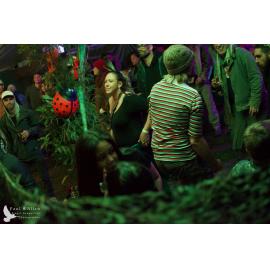 Waitati Music Festival by Paul S Allen: Mini Rave