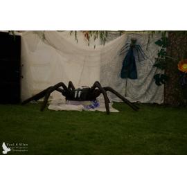 Waitati Music Festival by Paul S Allen: Mini Rave