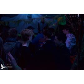 Waitati Music Festival by Paul S Allen: Mini Rave