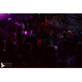 Waitati Music Festival by Paul S Allen: Mini Rave