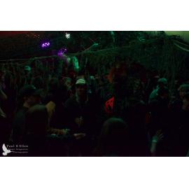 Waitati Music Festival by Paul S Allen: Mini Rave