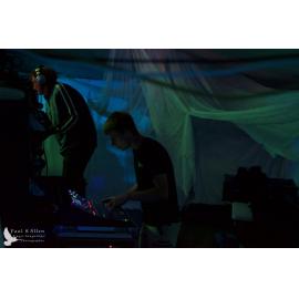 Waitati Music Festival by Paul S Allen: Mini Rave