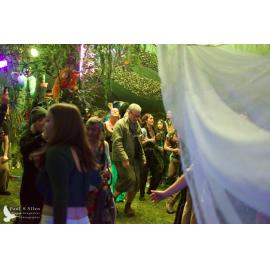 Waitati Music Festival by Paul S Allen: Mini Rave