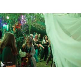 Waitati Music Festival by Paul S Allen: Mini Rave