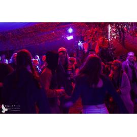 Waitati Music Festival by Paul S Allen: Mini Rave