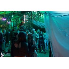 Waitati Music Festival by Paul S Allen: Mini Rave