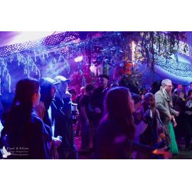 Waitati Music Festival by Paul S Allen: Mini Rave