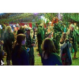 Waitati Music Festival by Paul S Allen: Mini Rave