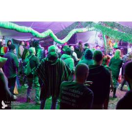 Waitati Music Festival by Paul S Allen: Mini Rave