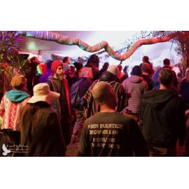 Waitati Music Festival by Paul S Allen: Mini Rave