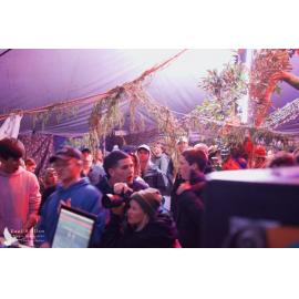Waitati Music Festival by Paul S Allen: Mini Rave