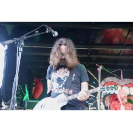 Waitati Music Festival by Paul S Allen: One Day Sane