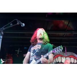 Waitati Music Festival by Paul S Allen: One Day Sane