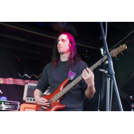 Waitati Music Festival by Paul S Allen: One Day Sane