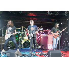 Waitati Music Festival by Paul S Allen: One Day Sane