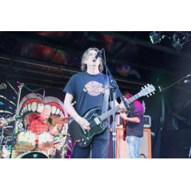 Waitati Music Festival by Paul S Allen: One Day Sane