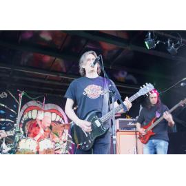 Waitati Music Festival by Paul S Allen: One Day Sane