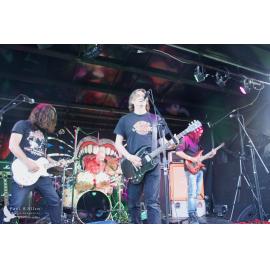 Waitati Music Festival by Paul S Allen: One Day Sane