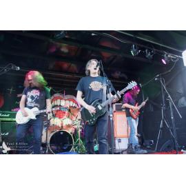 Waitati Music Festival by Paul S Allen: One Day Sane