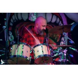 Waitati Music Festival by Paul S Allen: One Day Sane