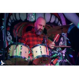 Waitati Music Festival by Paul S Allen: One Day Sane