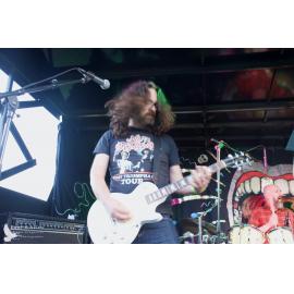 Waitati Music Festival by Paul S Allen: One Day Sane