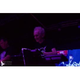 Waitati Music Festival by Paul S Allen: Pitch Black