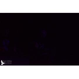 Waitati Music Festival by Paul S Allen: Pitch Black