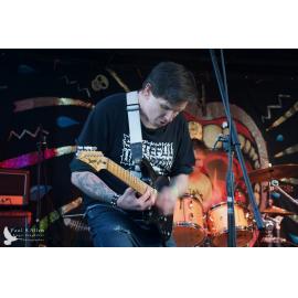 Waitati Music Festival by Paul S Allen: Pop OD