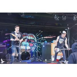 Waitati Music Festival by Paul S Allen: Pop OD