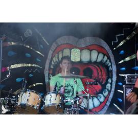 Waitati Music Festival by Paul S Allen: Pop OD