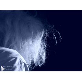 Waitati Music Festival by Paul S Allen: Psycho King Dogs