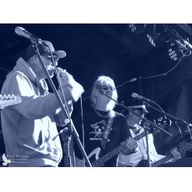 Waitati Music Festival by Paul S Allen: Psycho King Dogs