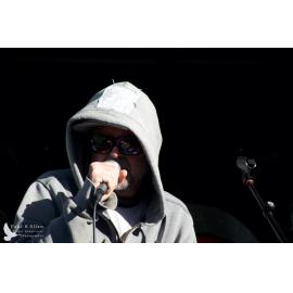 Waitati Music Festival by Paul S Allen: Psycho King Dogs