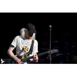 Waitati Music Festival by Paul S Allen: Psycho King Dogs